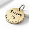 WanderSafe ID Tag
