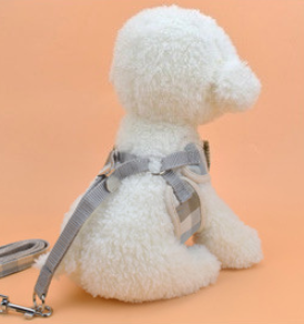 FeatherLight Kitty & Pup Chest Leash