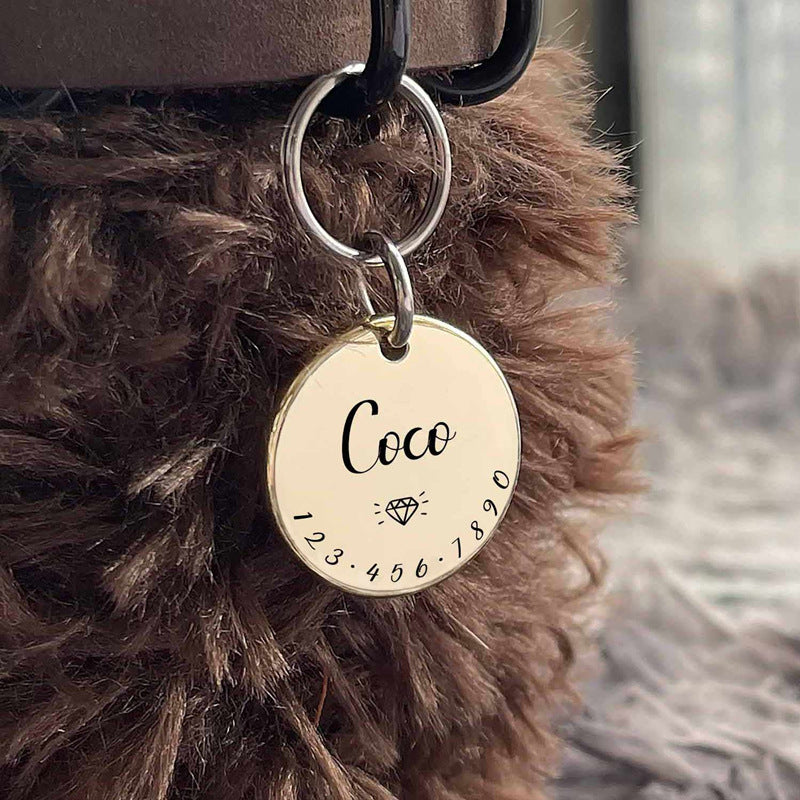 WanderSafe ID Tag