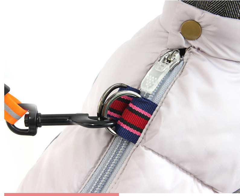 Waterproof Insulated Dog Winter Coat — multi-colour — MAHGOODBOI
