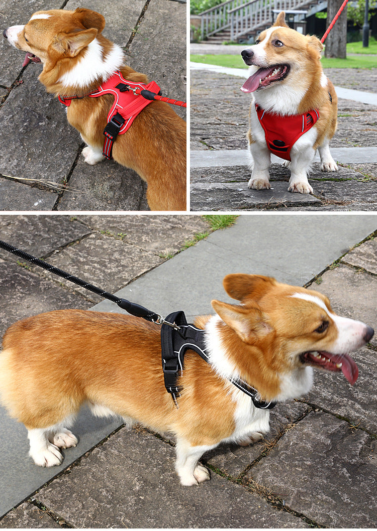 ZenWalk No-Pull Breathable Pet Vest