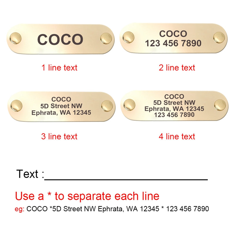 SignaturePlate Personalized ID Collar