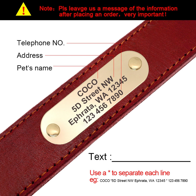 SignaturePlate Personalized ID Collar