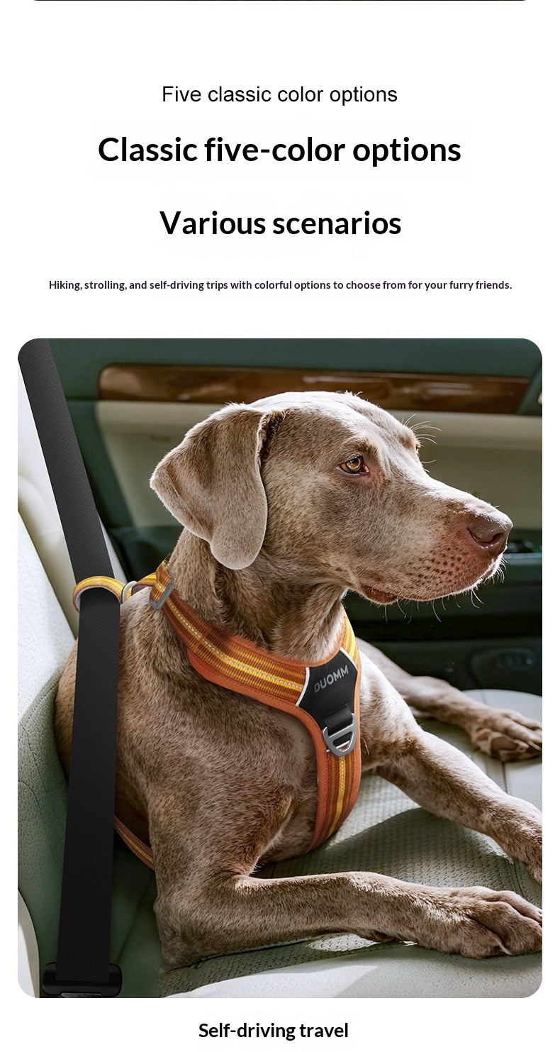TrailBlazer Rugged Outdoor Harness