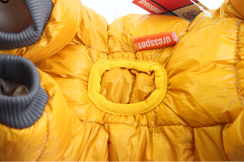 Waterproof Insulated Dog Winter Coat — multi-colour — MAHGOODBOI